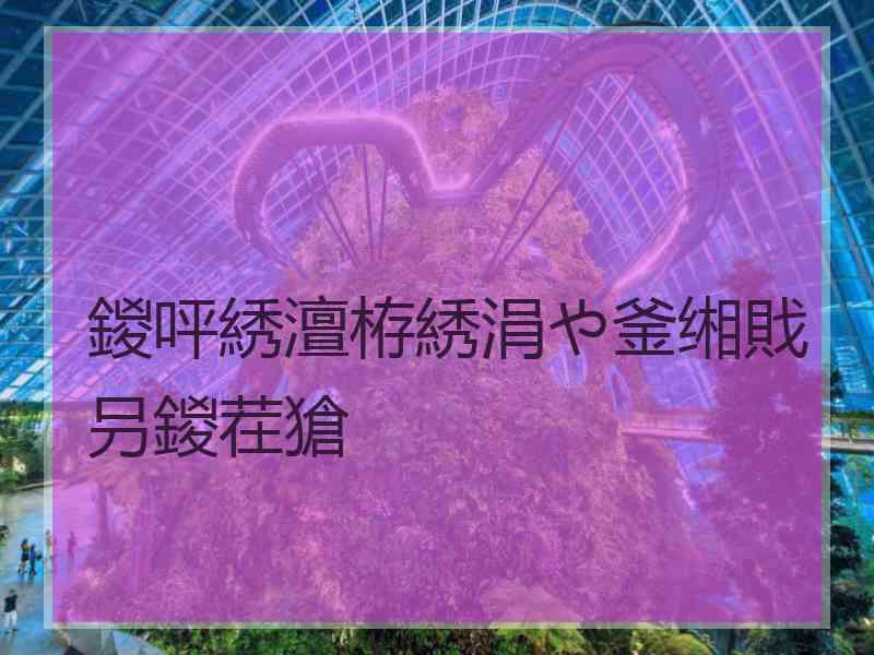 鍐呯綉澶栫綉涓や釜缃戝叧鍐茬獊