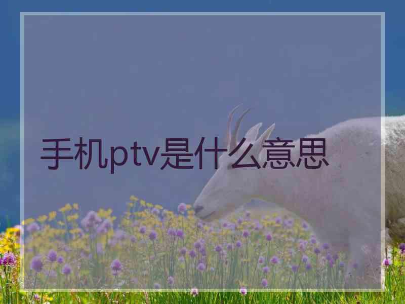手机ptv是什么意思