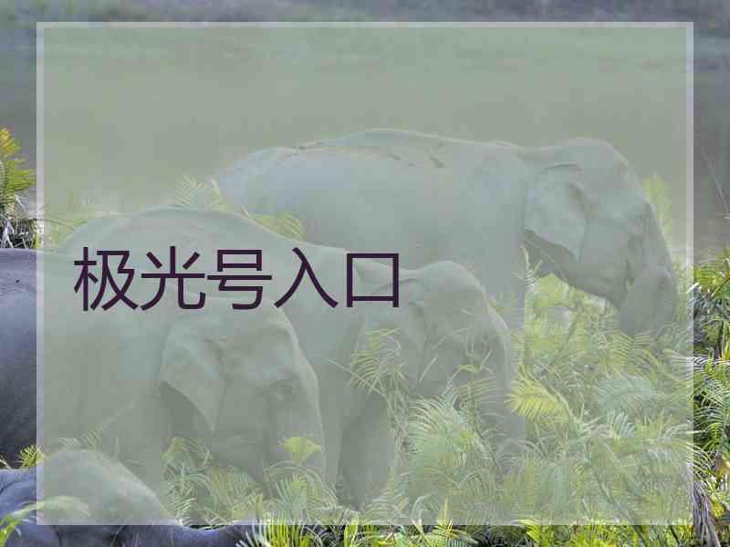 极光号入口