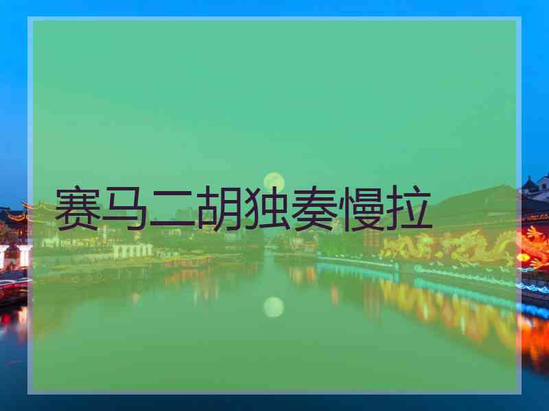 赛马二胡独奏慢拉