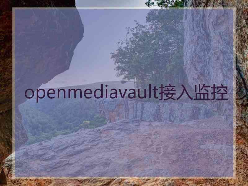 openmediavault接入监控