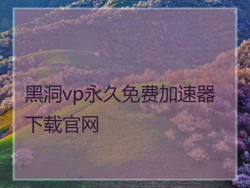 黑洞vp永久免费加速器下载官网