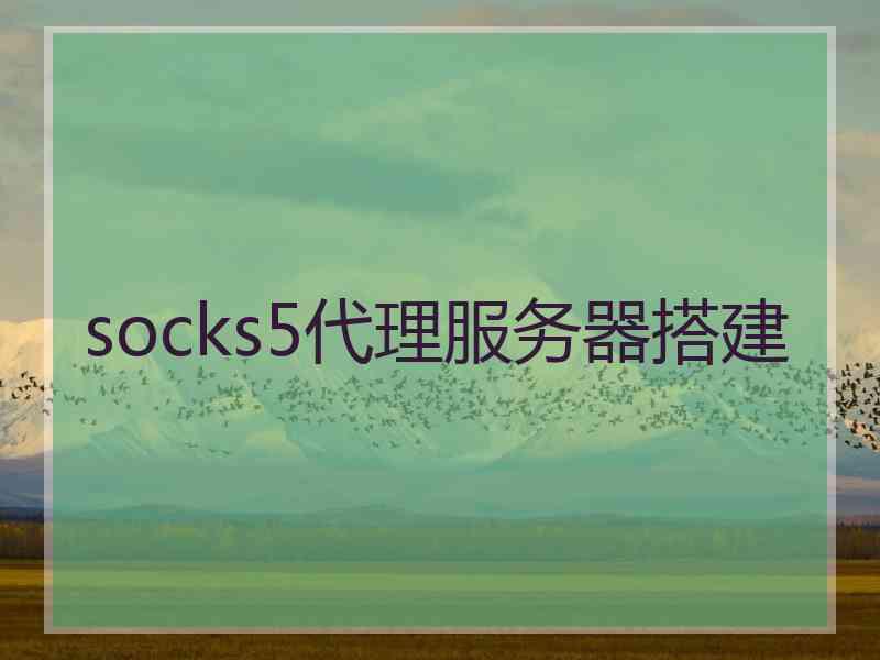socks5代理服务器搭建