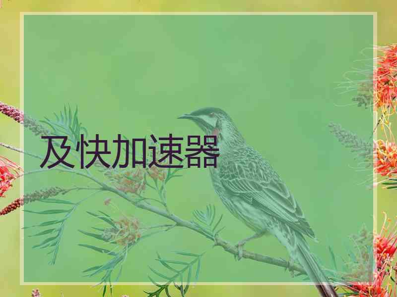 及快加速器