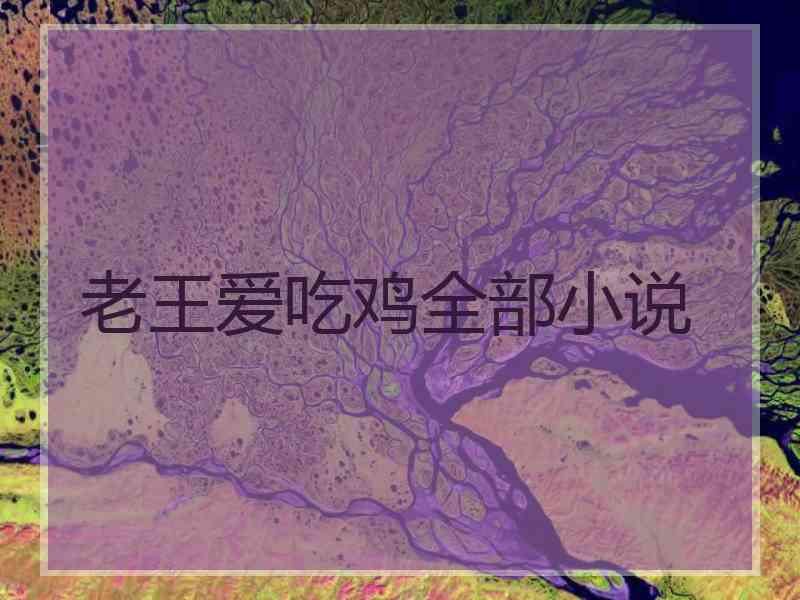 老王爱吃鸡全部小说