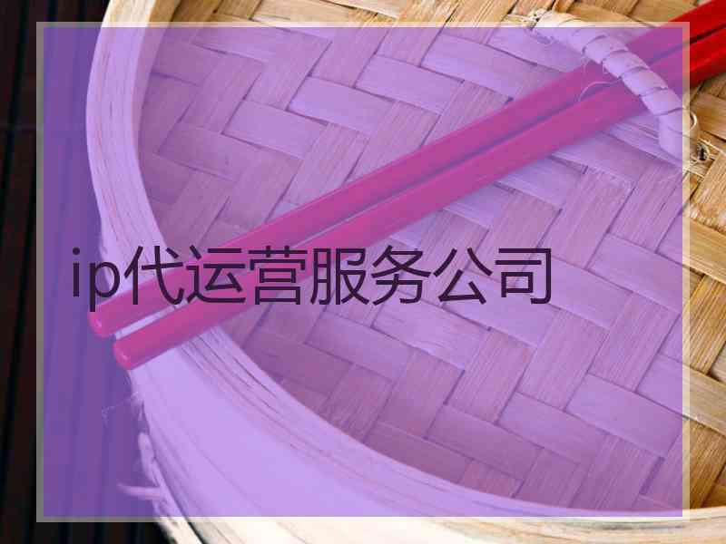 ip代运营服务公司