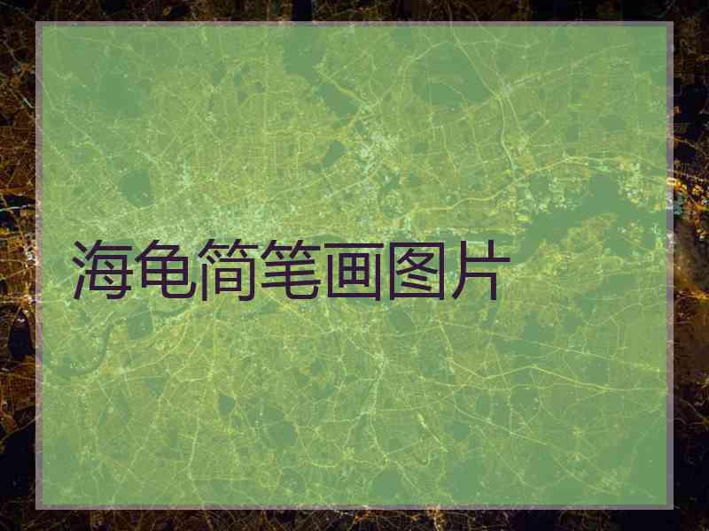 海龟简笔画图片