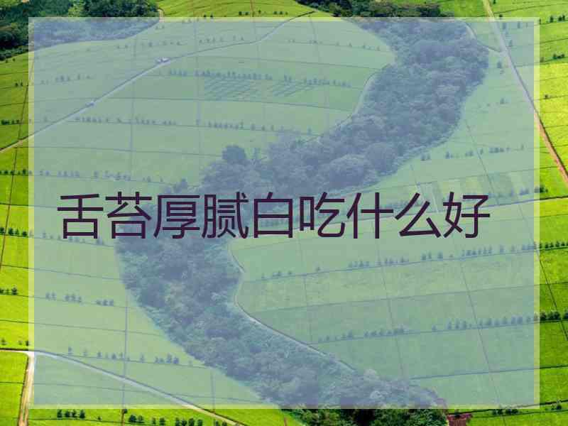 舌苔厚腻白吃什么好