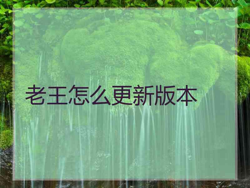 老王怎么更新版本