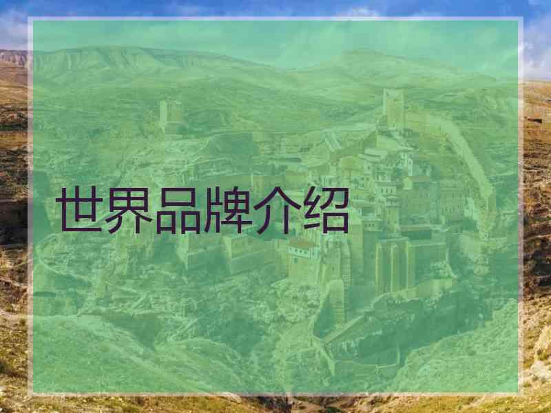 世界品牌介绍