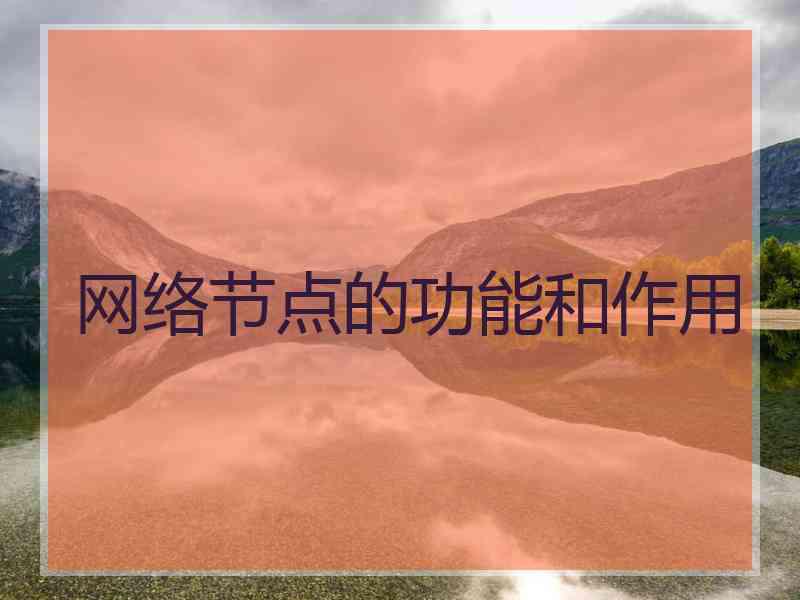 网络节点的功能和作用