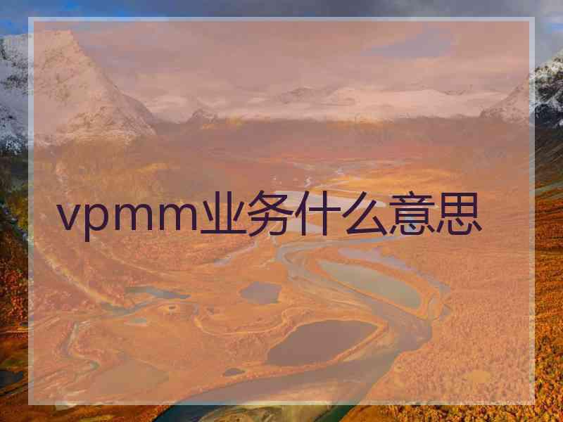 vpmm业务什么意思