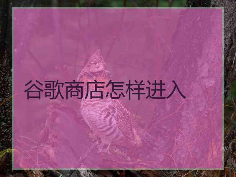 谷歌商店怎样进入