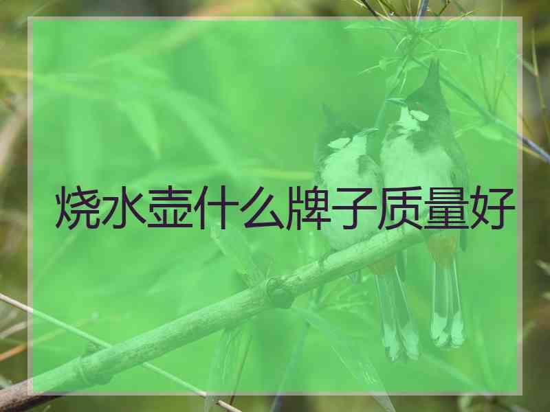 烧水壶什么牌子质量好