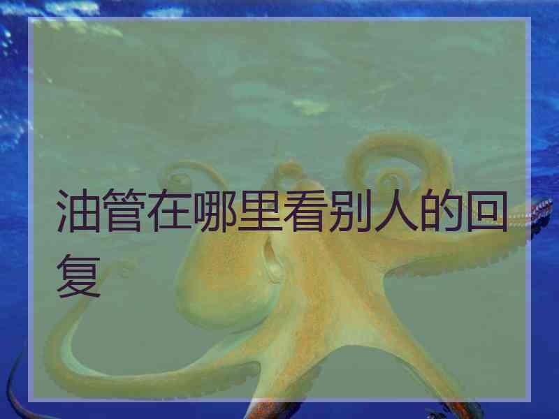油管在哪里看别人的回复