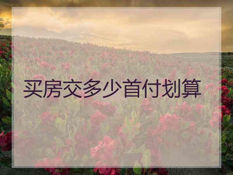 买房交多少首付划算