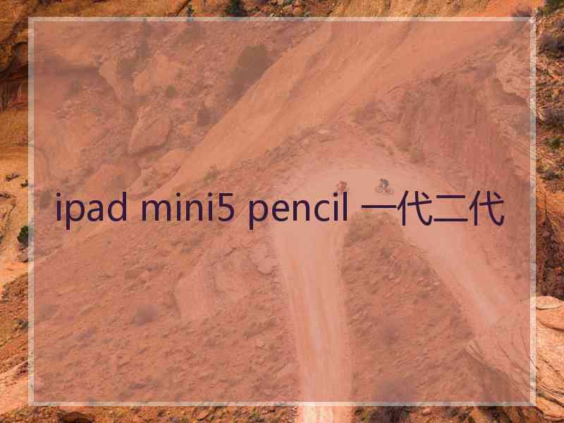 ipad mini5 pencil 一代二代