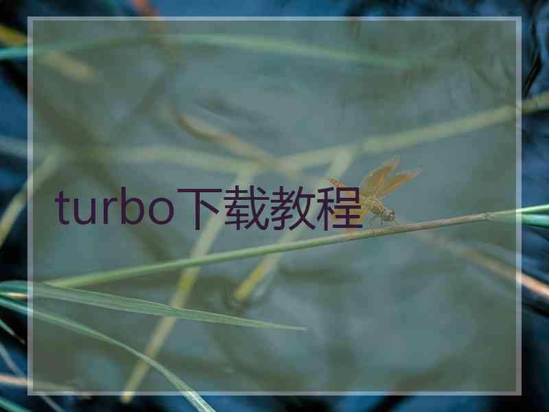 turbo下载教程