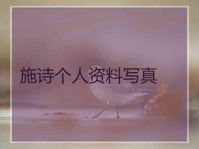 施诗个人资料写真