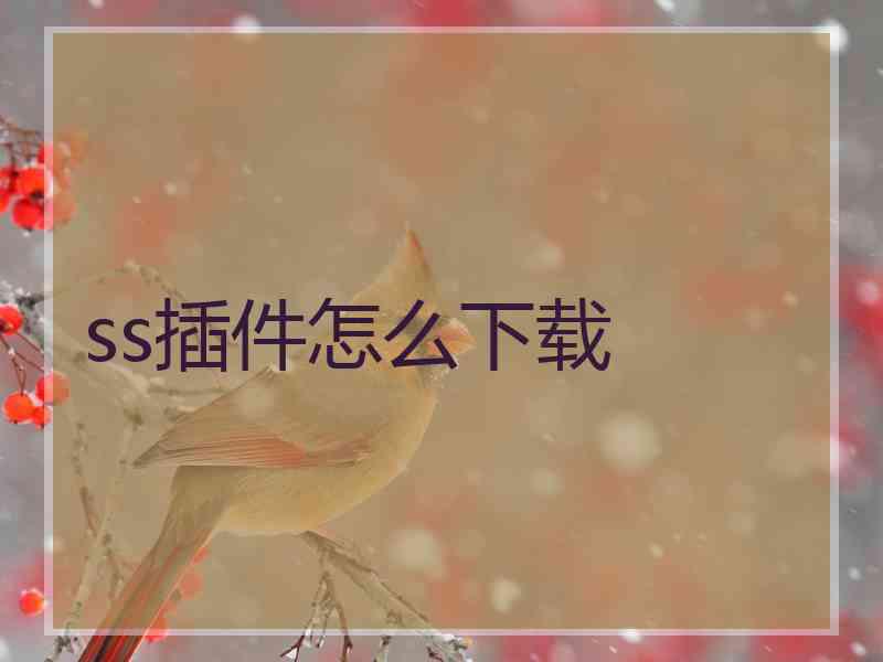 ss插件怎么下载