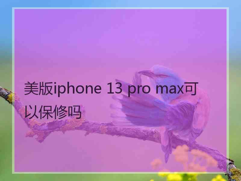 美版iphone 13 pro max可以保修吗