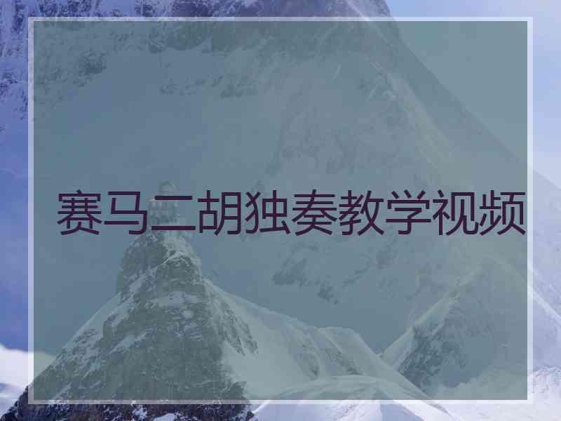 赛马二胡独奏教学视频