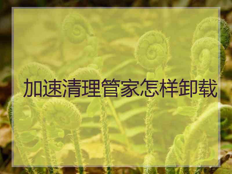 加速清理管家怎样卸载