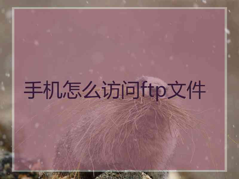 手机怎么访问ftp文件