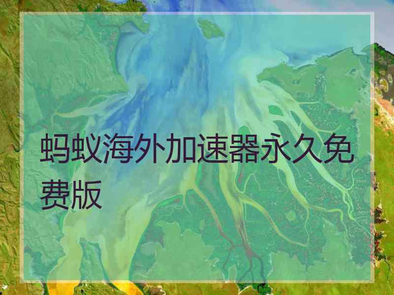 蚂蚁海外加速器永久免费版