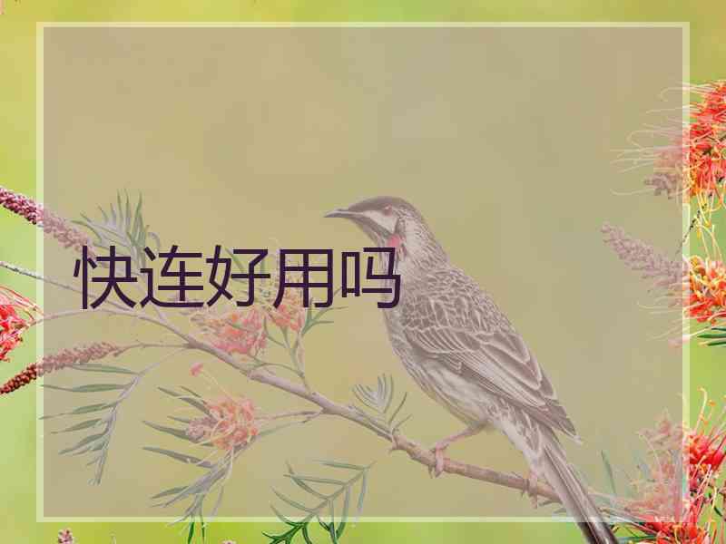 快连好用吗