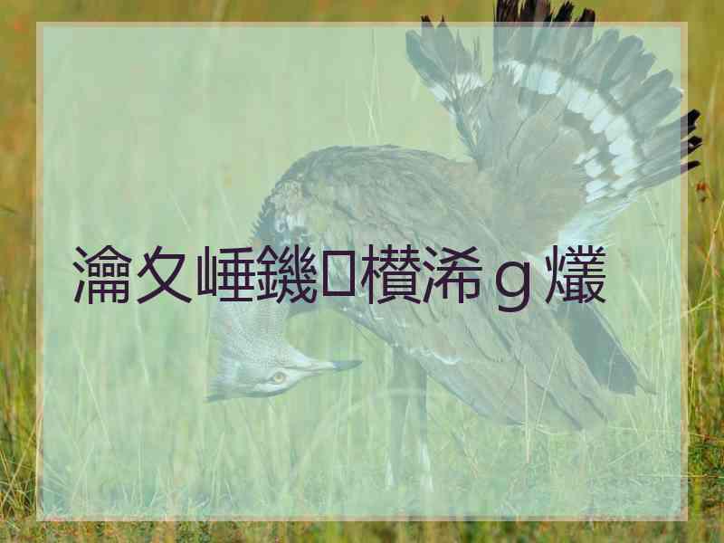 瀹夊崜鐖櫕浠ｇ爜