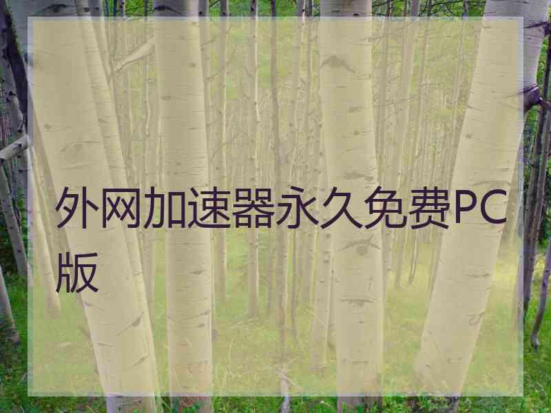 外网加速器永久免费PC版