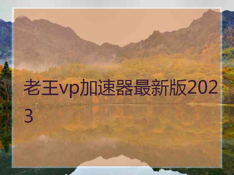 老王vp加速器最新版2023