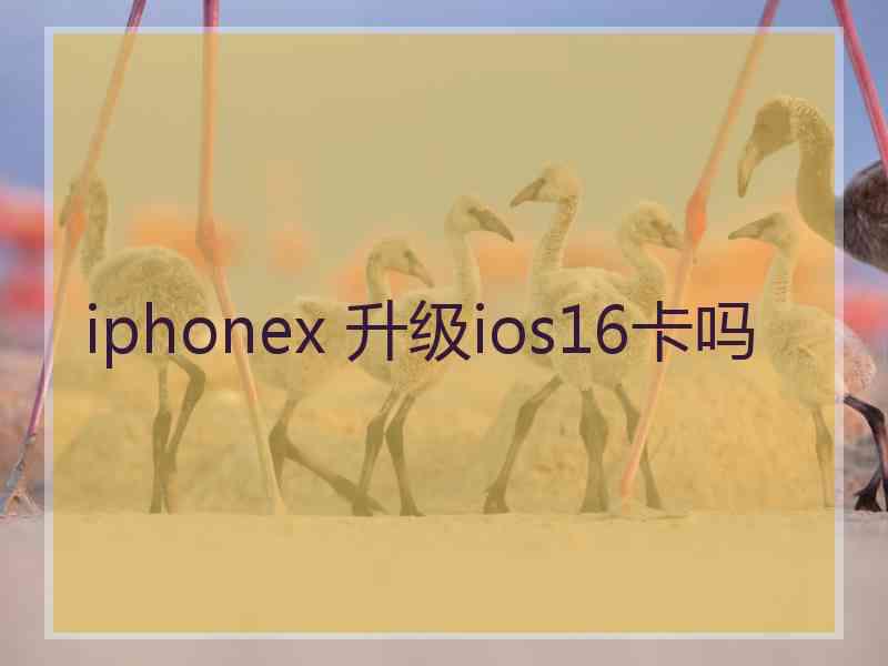 iphonex 升级ios16卡吗