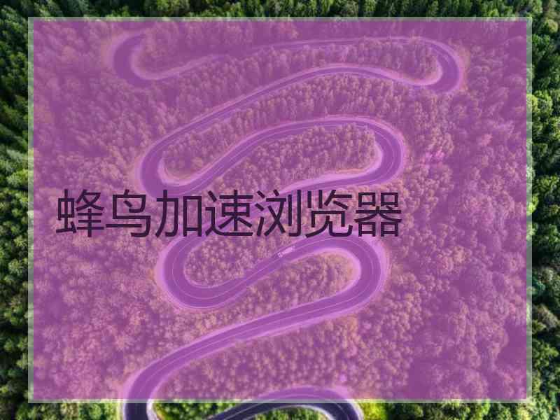 蜂鸟加速浏览器