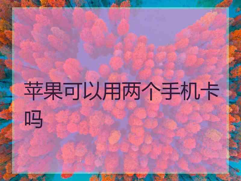 苹果可以用两个手机卡吗