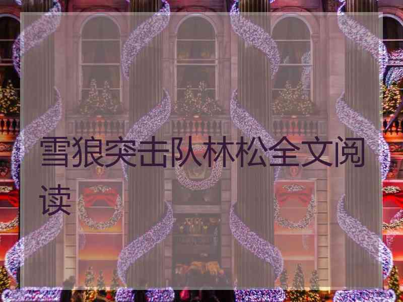 雪狼突击队林松全文阅读