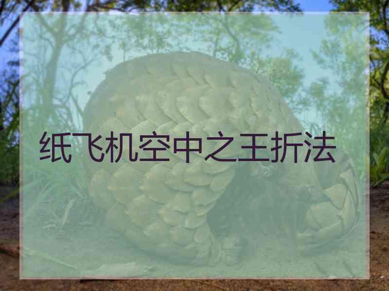 纸飞机空中之王折法