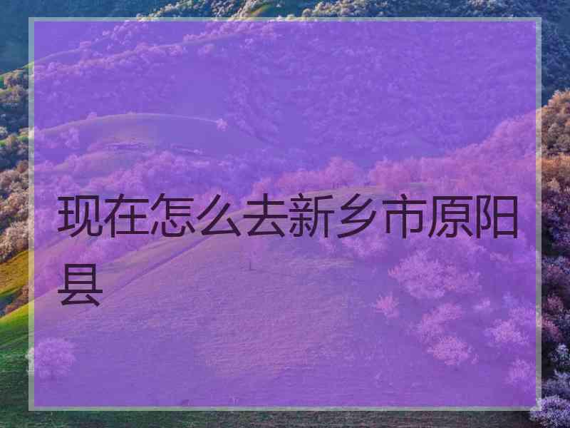 现在怎么去新乡市原阳县
