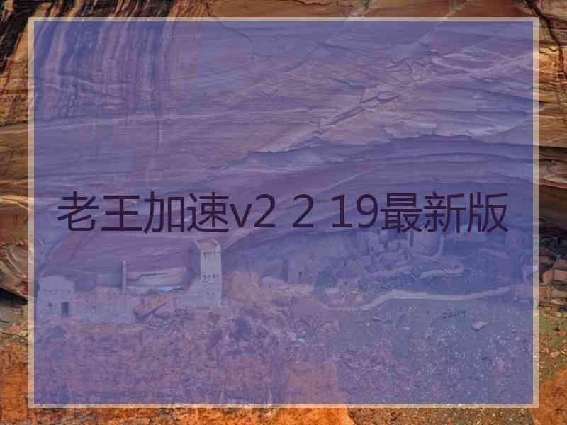 老王加速v2 2 19最新版