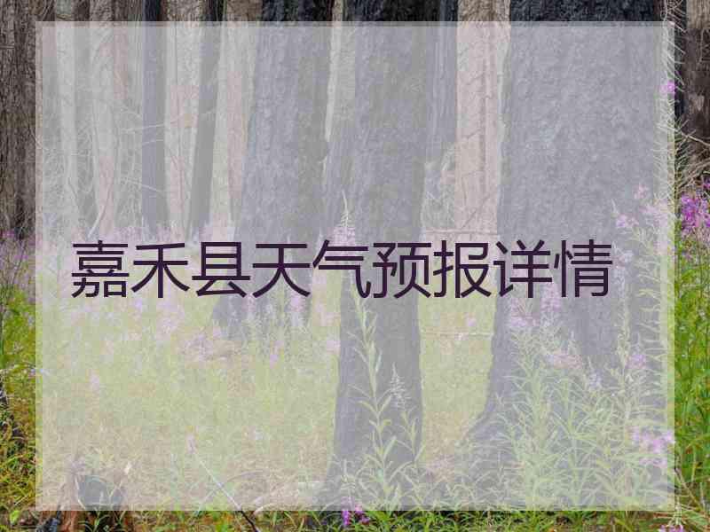 嘉禾县天气预报详情