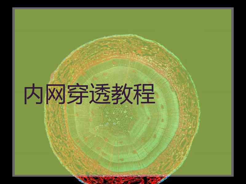 内网穿透教程