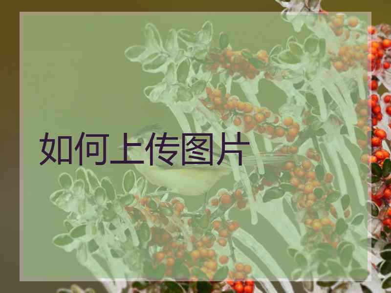 如何上传图片