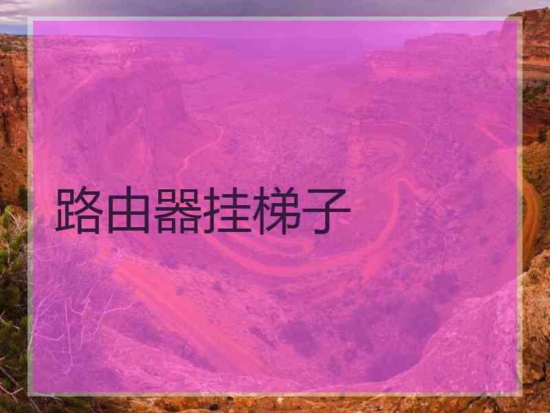 路由器挂梯子