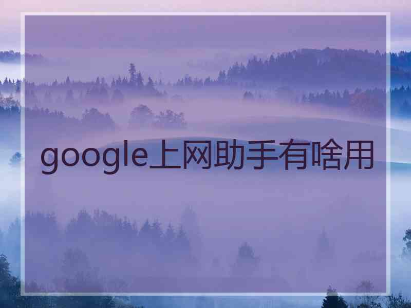 google上网助手有啥用
