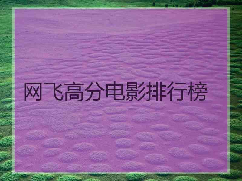 网飞高分电影排行榜