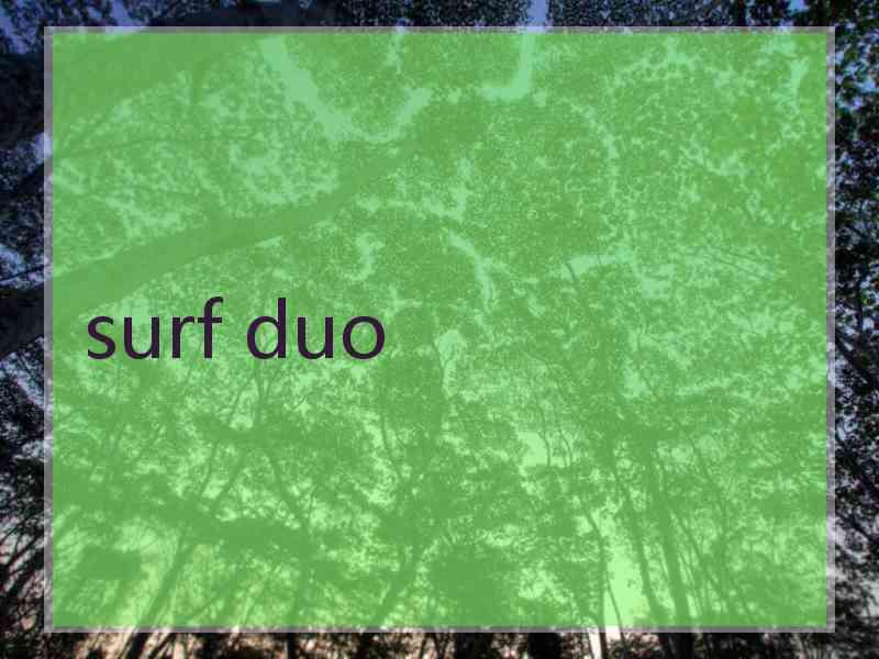 surf duo
