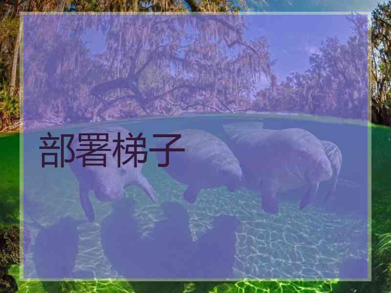 部署梯子