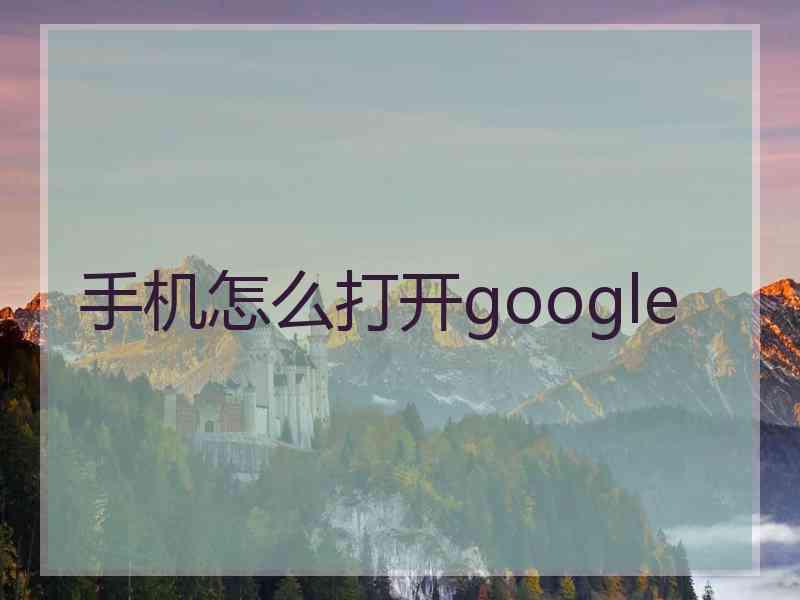 手机怎么打开google