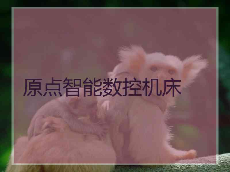 原点智能数控机床